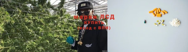 мескалин Арсеньев