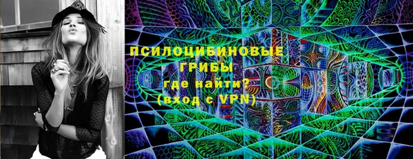 мескалин Арсеньев