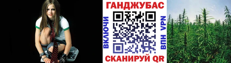 Марихуана сатива  Колпашево 